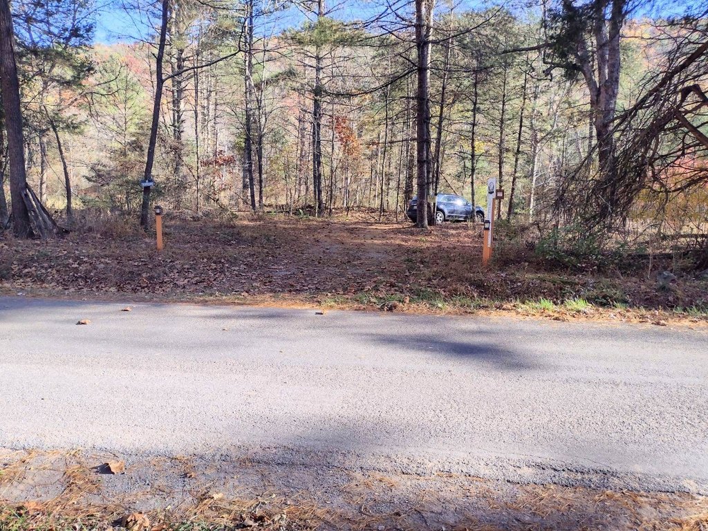 Picture 4