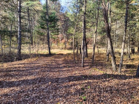 Waterfront Hunting and Recreation Land