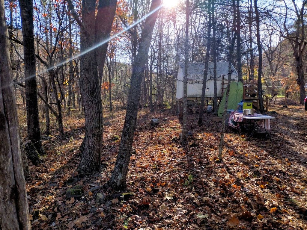Picture 8