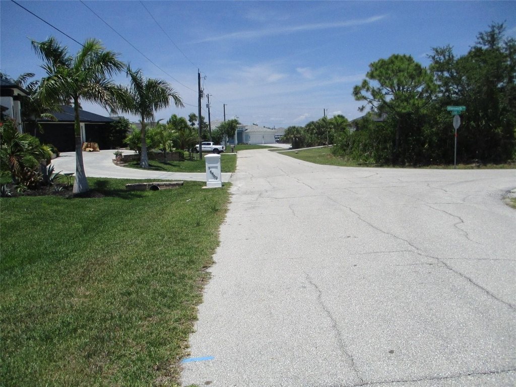Picture 5
