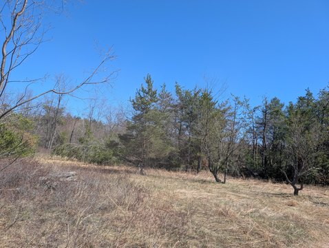 Vacant Land Near Atlanta, MI