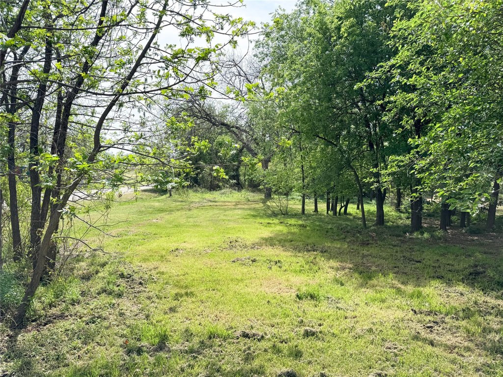 Picture 4
