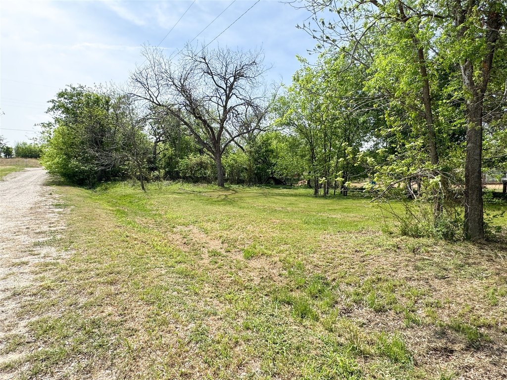 Picture 8