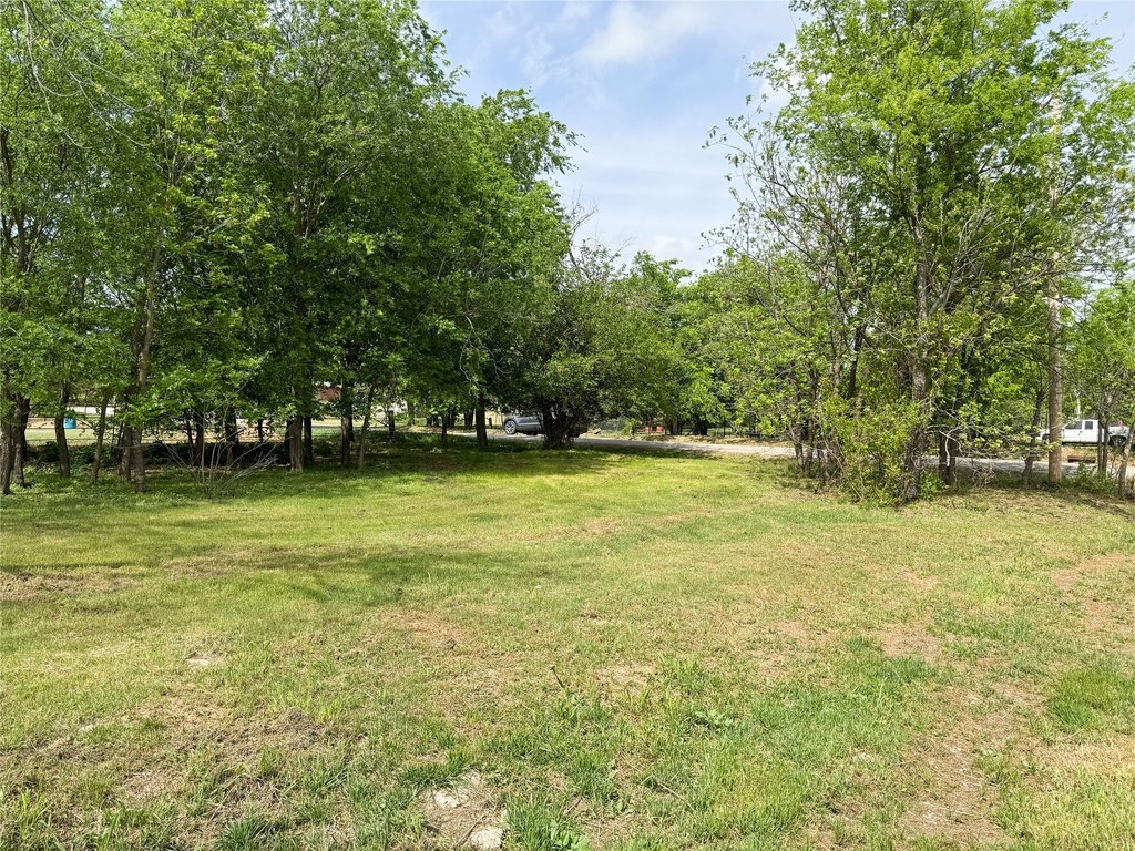 Picture 5