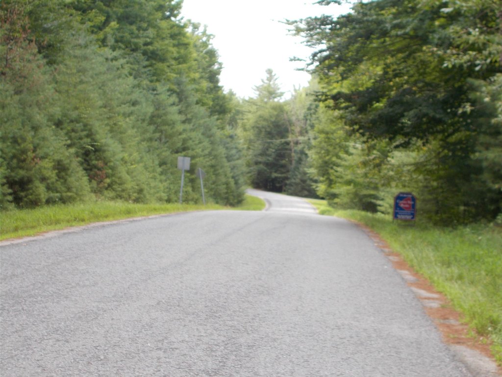 Picture 7