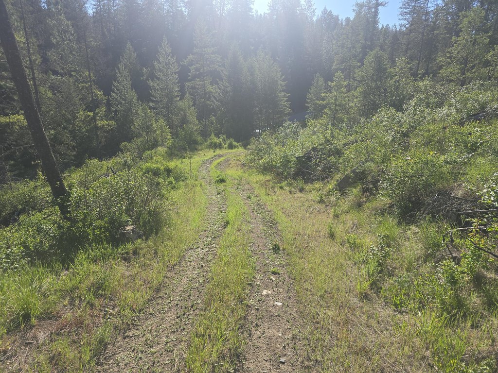 Picture 2
