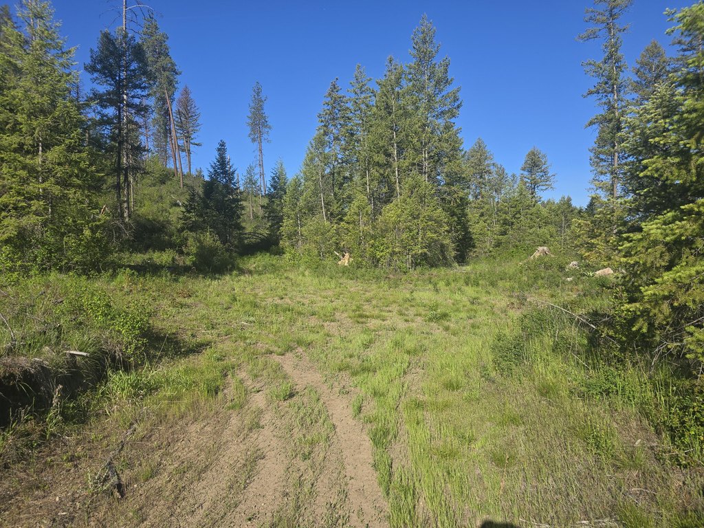 Picture 4