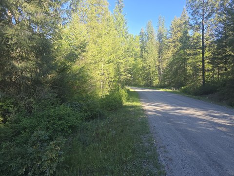 LAND - COLVILLE, WA