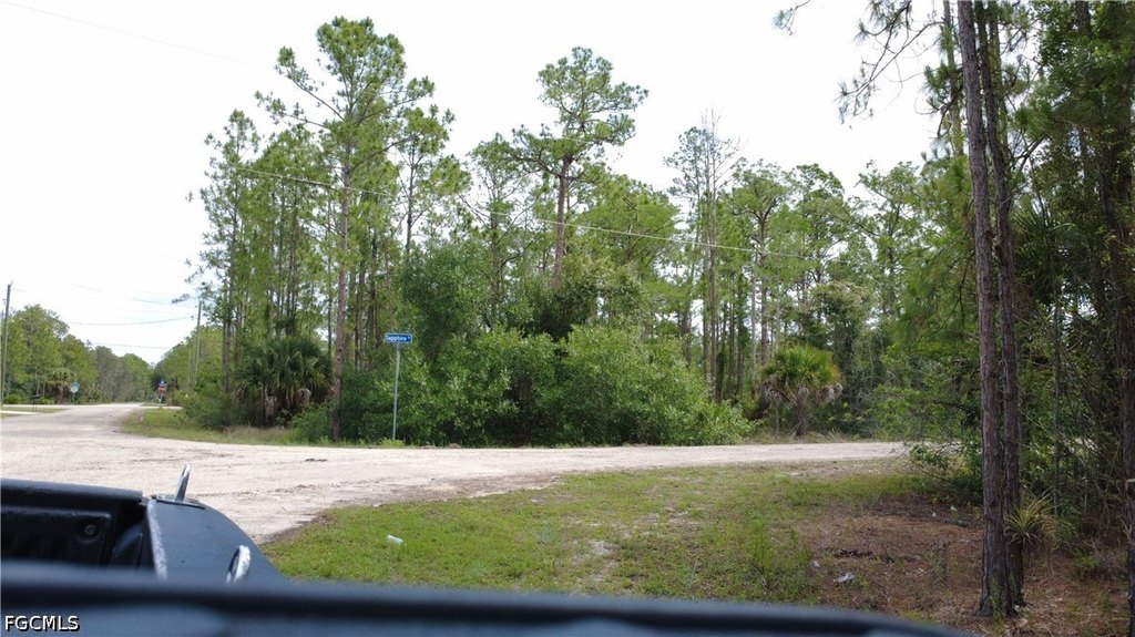 Picture 24