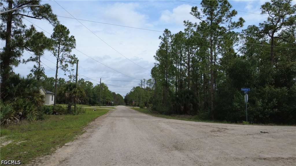 Picture 22
