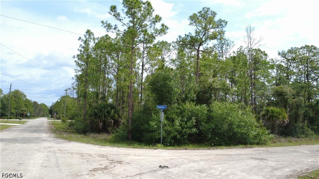 Picture 7