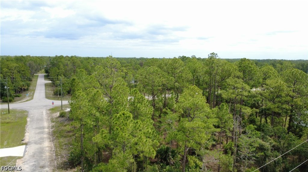 Picture 8
