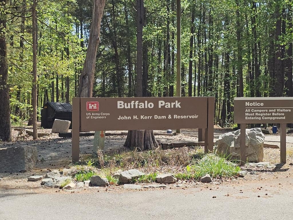 Picture 96