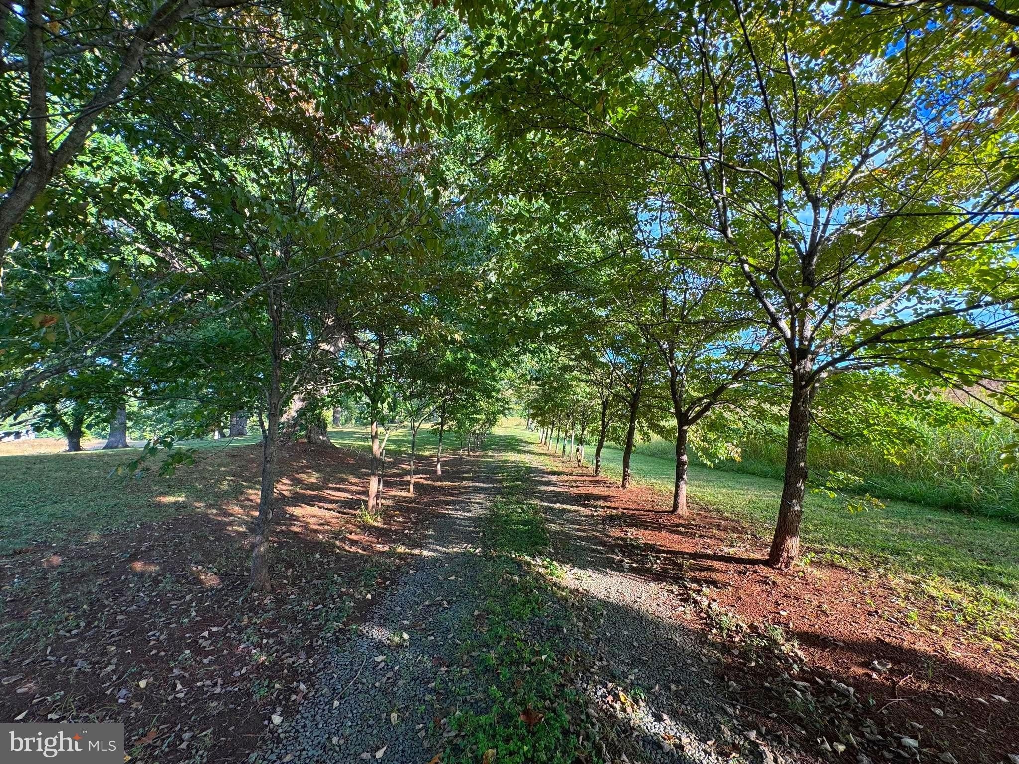 Idyllic Land in Louisa County