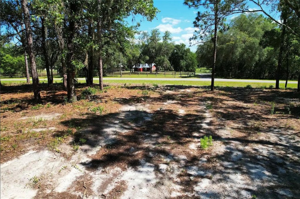Picture 3