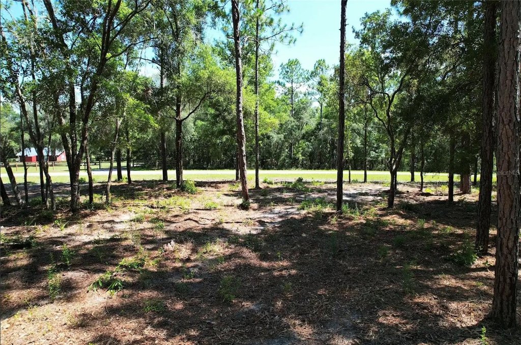 Picture 8