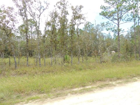 Square Residential Land Lot