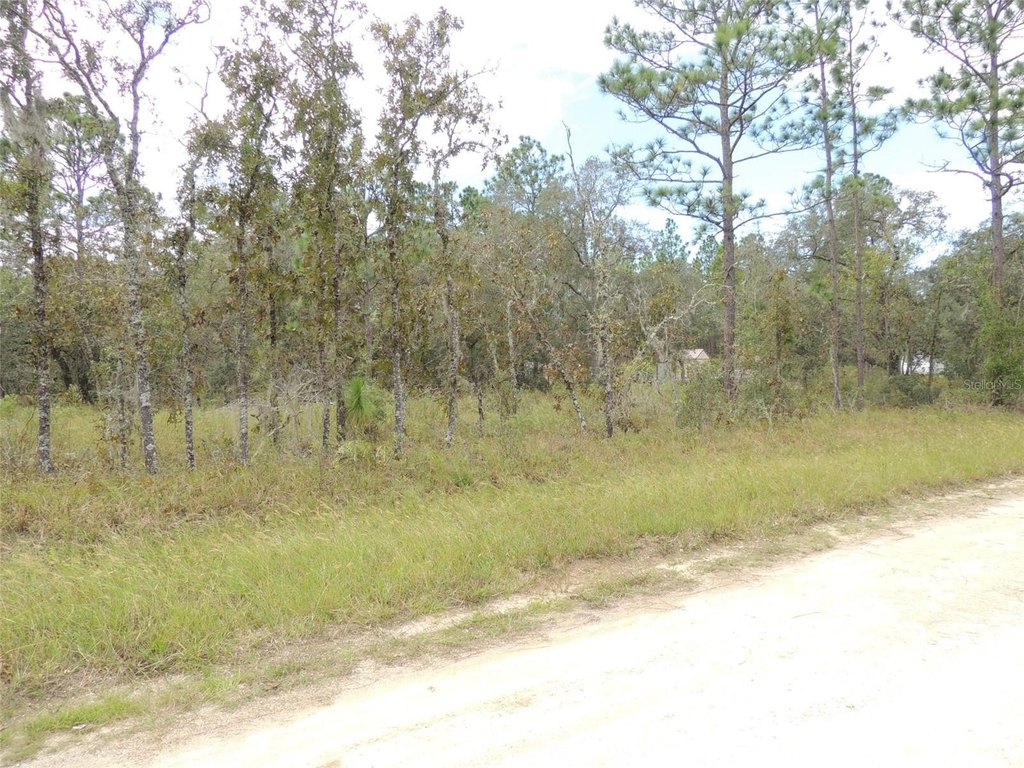 Picture 6