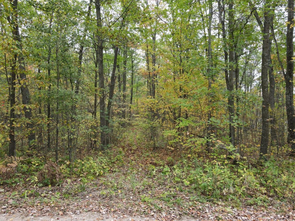 Picture 27