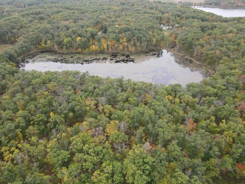 Wooded Waterfront Recreational Land
