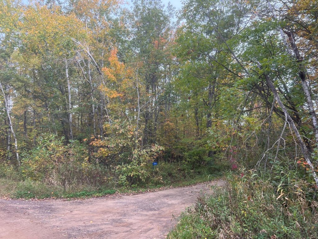 Picture 20