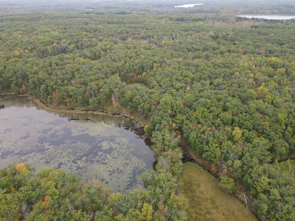Picture 24
