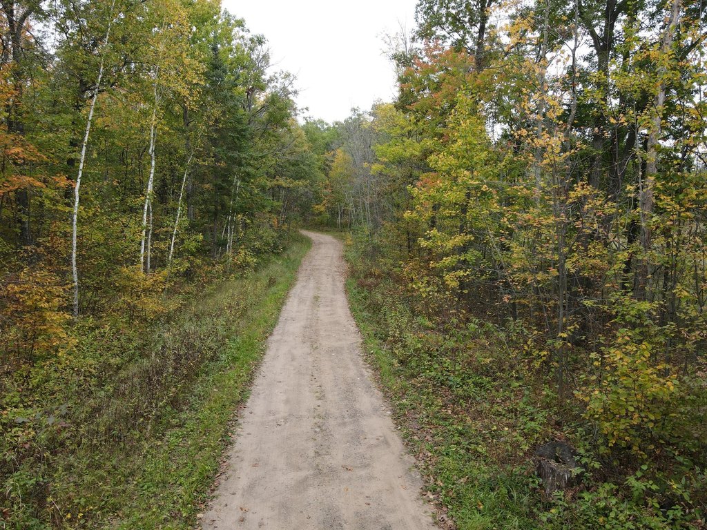 Picture 26