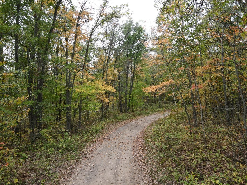 Picture 8