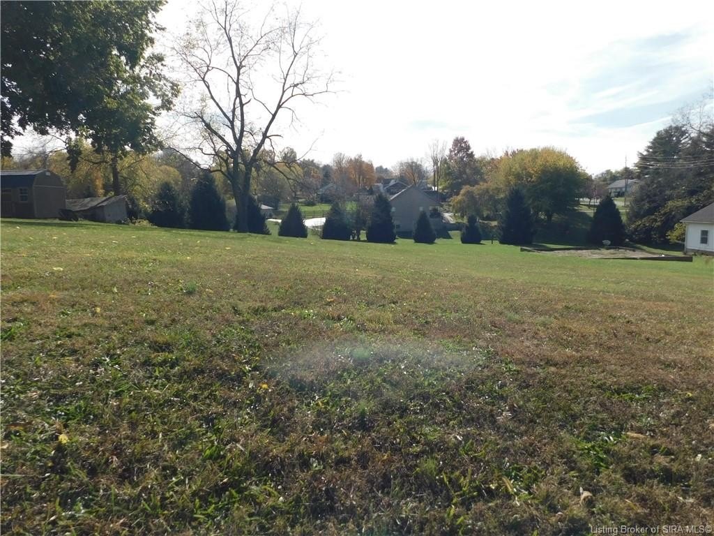 Picture 2