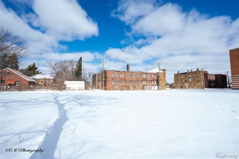 Detroit Land Investment Opportunity