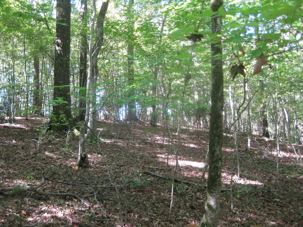 Picture 10