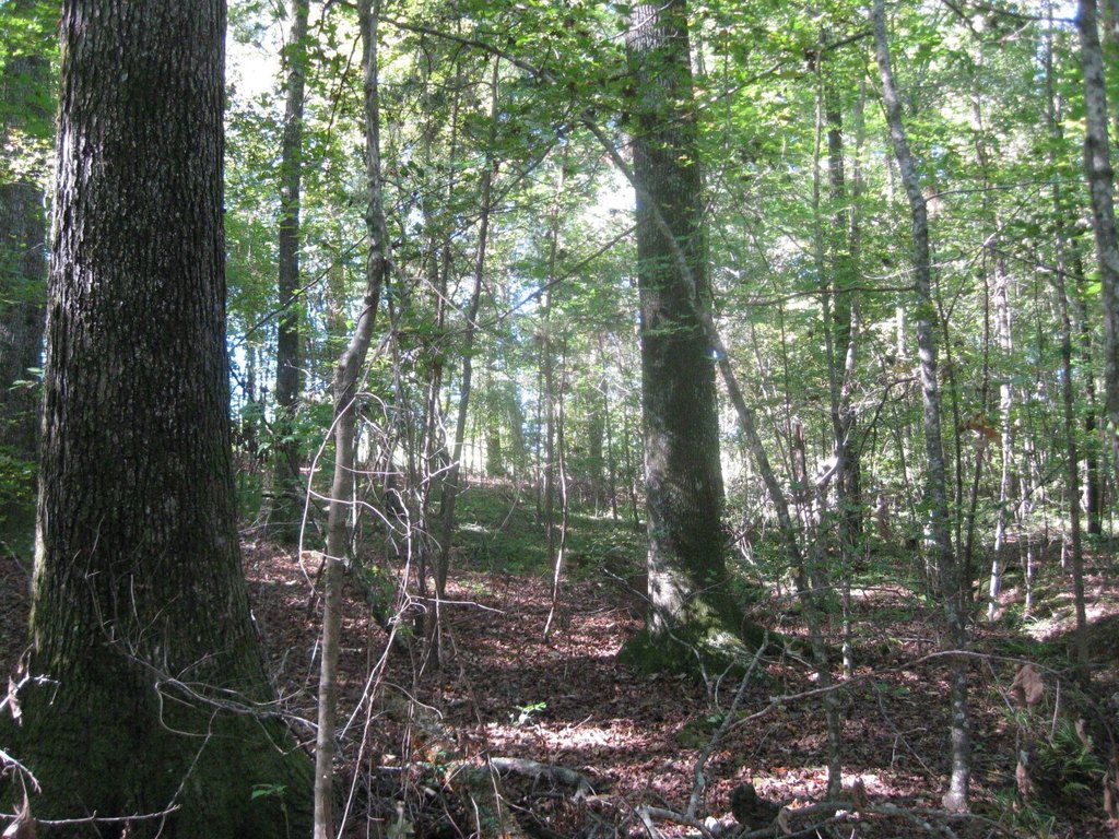 Picture 9