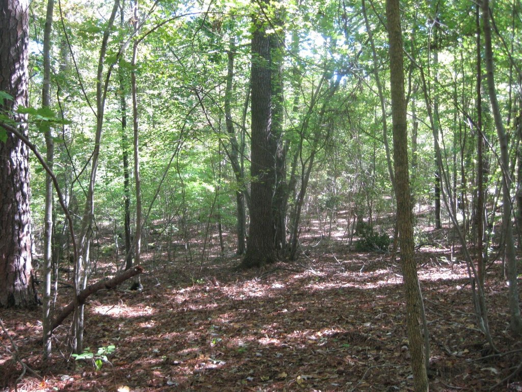 Picture 6