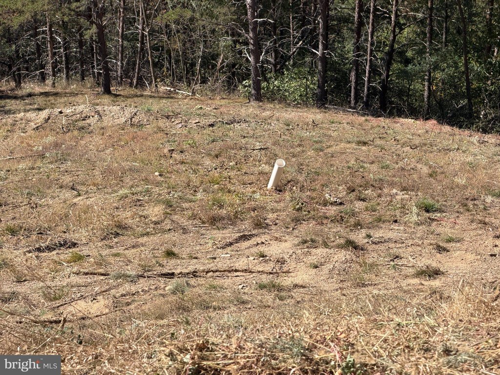 Picture 28