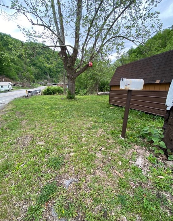 Picture 8