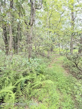 Land in Private Lake Community