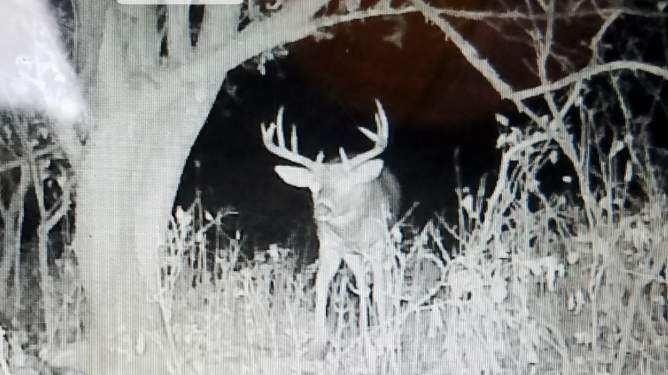 Picture 24