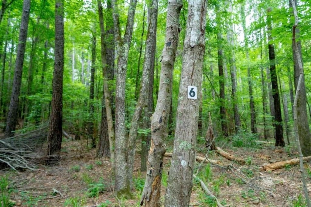 Picture 5