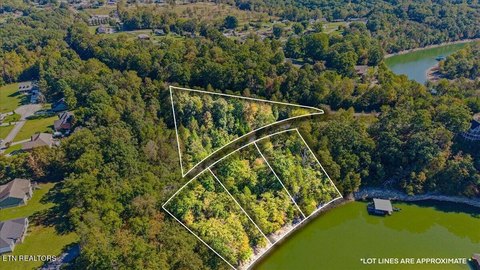 Lots & Acreage, Jacksboro, TN