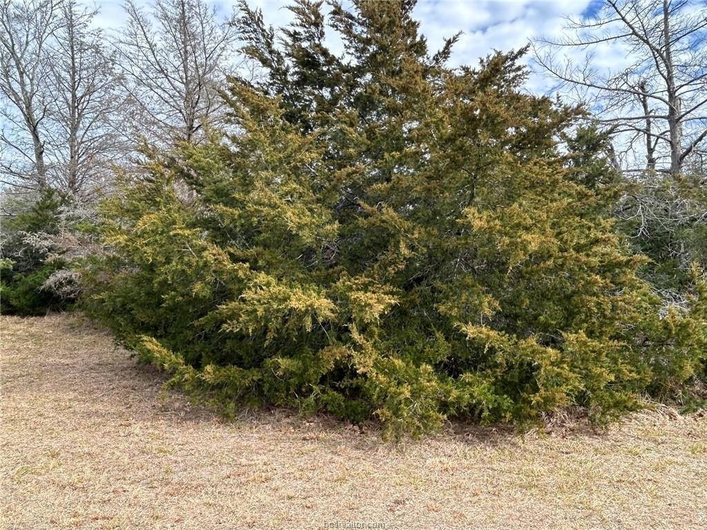 Picture 12