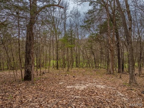 Wooded Resort Development Lot