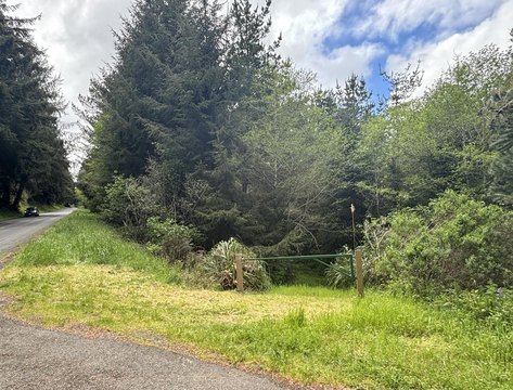 Secluded Land Near Humboldt Bay