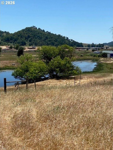 Picture 19