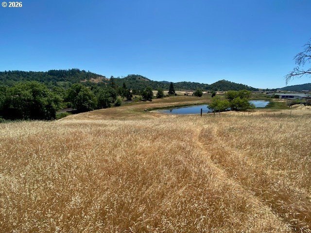 Picture 18