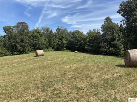 Wooded Acreage Ideal for Hunting