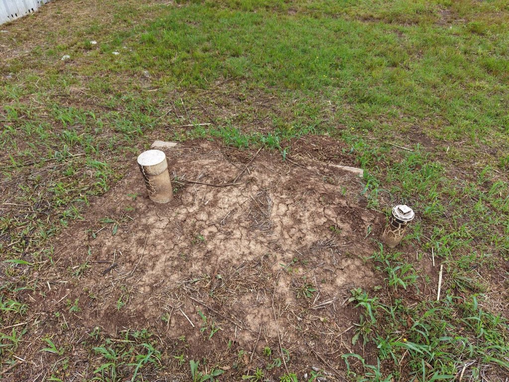 Picture 11
