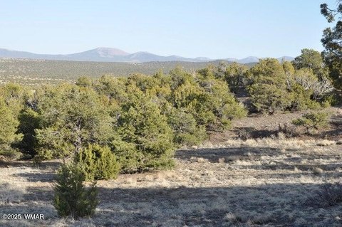 22.96 Acres in Concho, AZ
