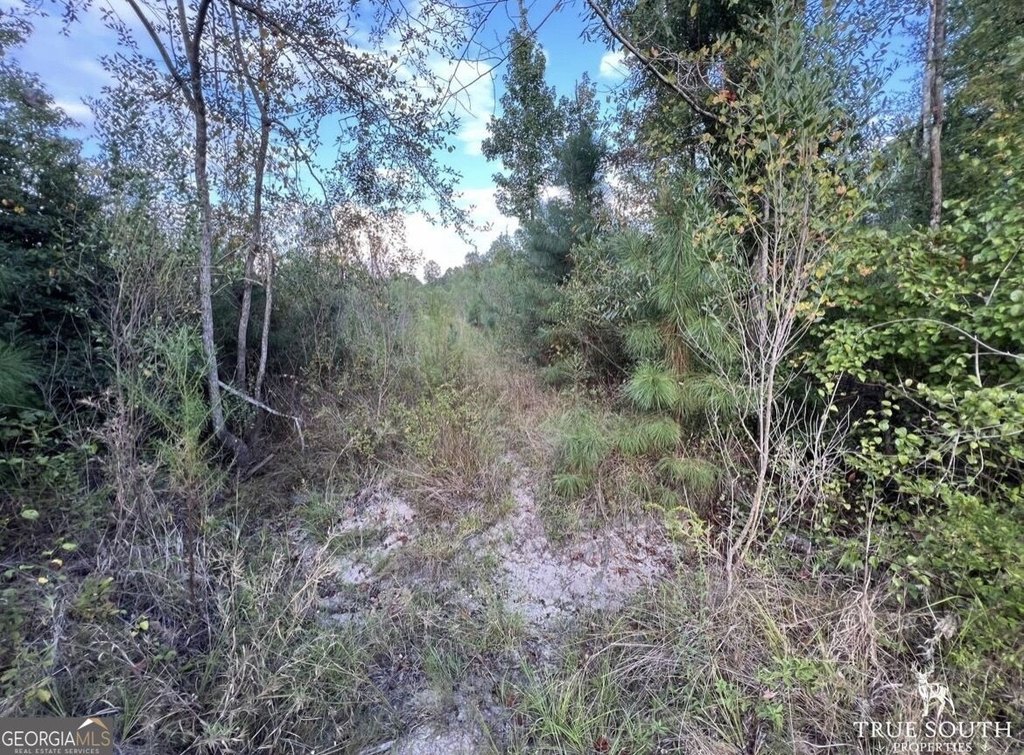 Picture 5