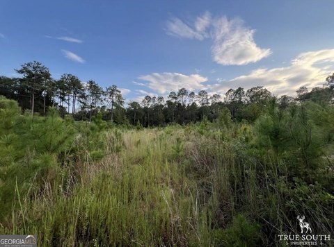 Land, Eastman, GA