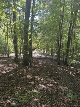 Land, Franklin, NC